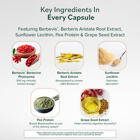 Berberine Phytosome